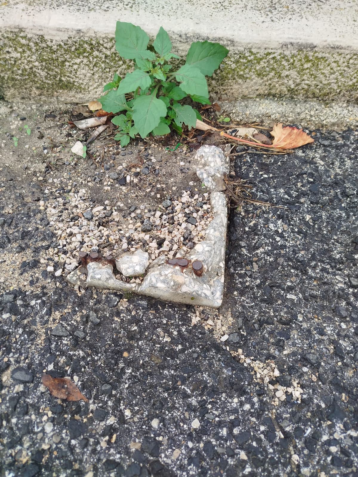 Ferro na berma da Rua